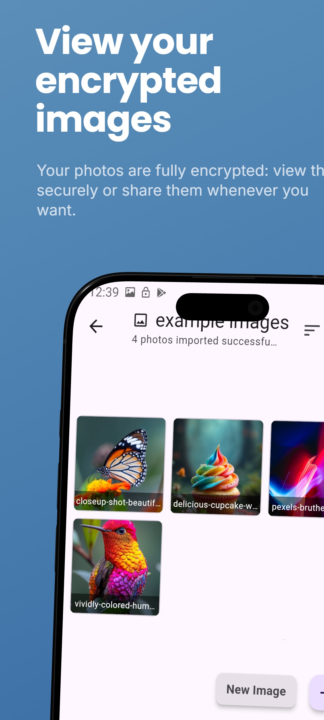 Privacy Visiva